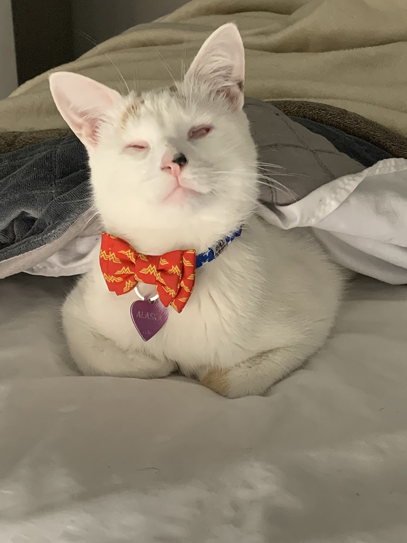 Alaska